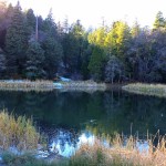 Thunder Spring to Upper Doane Valley Trail | Palomar Mountain, CA